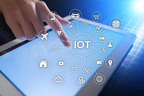 網(wǎng)絡(luò)與信息安全軟件開發(fā) 編程語言的選擇與應(yīng)用場景